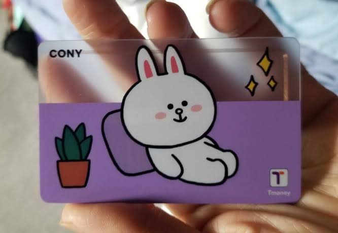 tmoney0.jpg