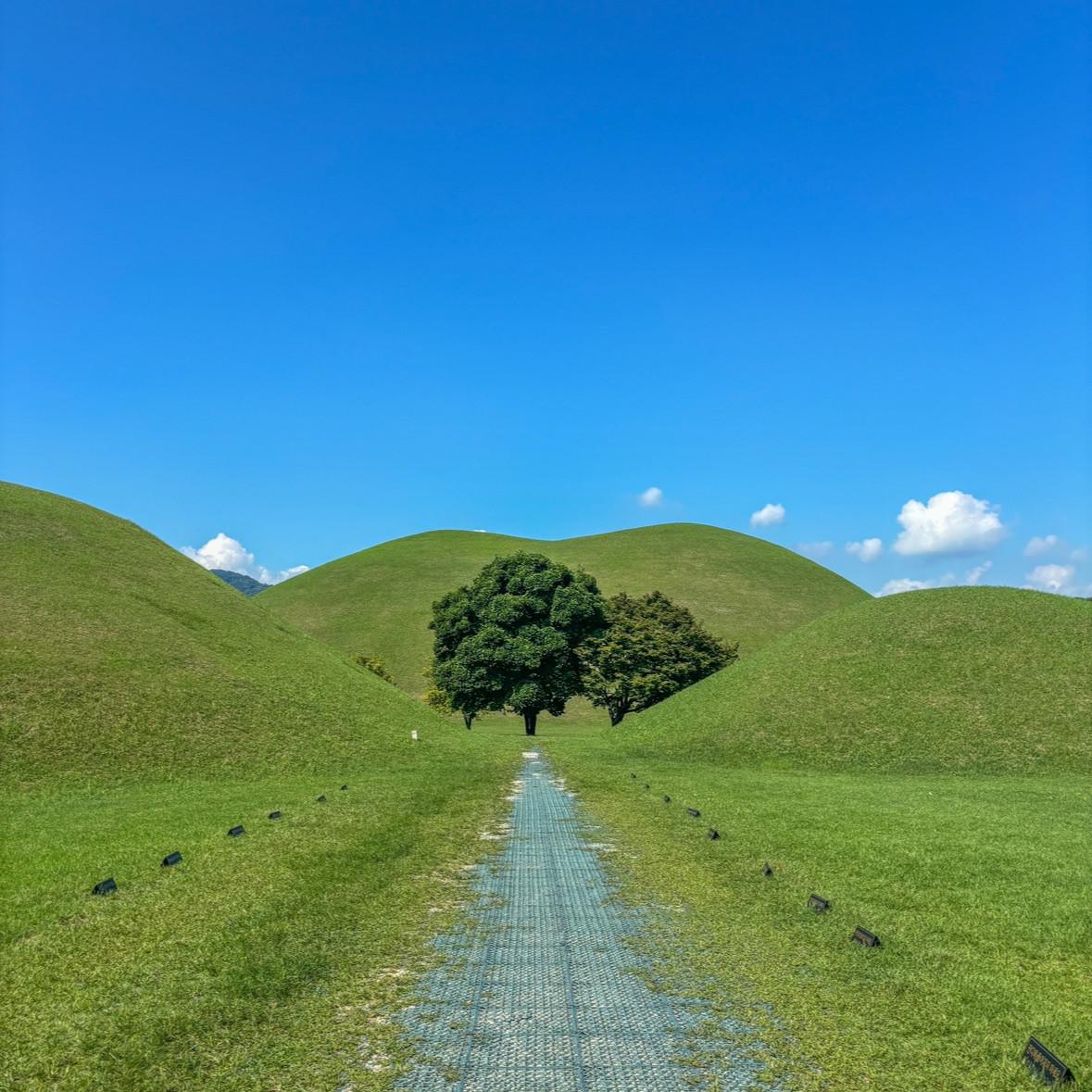 14:30 · Daereungwon Heritage & Mindful Walk schedule