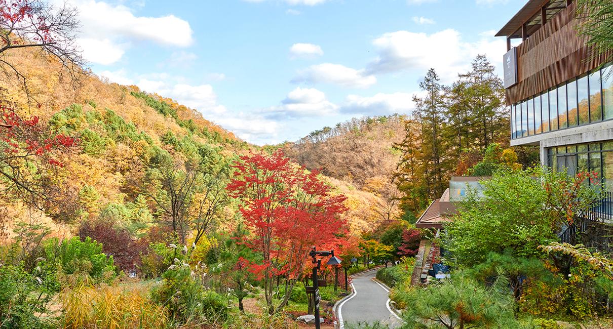 Seoul & Hongcheon Signature Health, Wellness & Culture Journey thumbnail 11