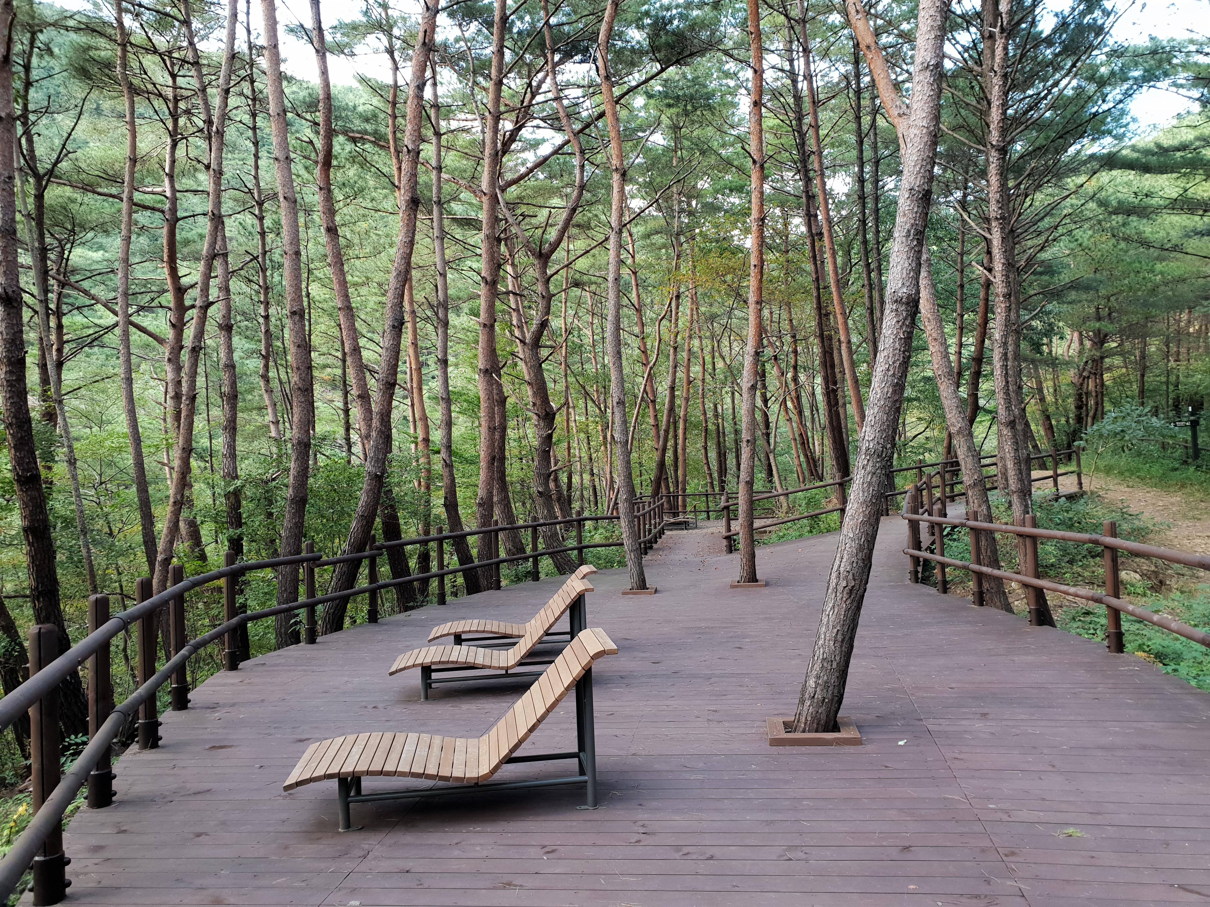 Seoul & Hongcheon Signature Health, Wellness & Culture Journey thumbnail 8