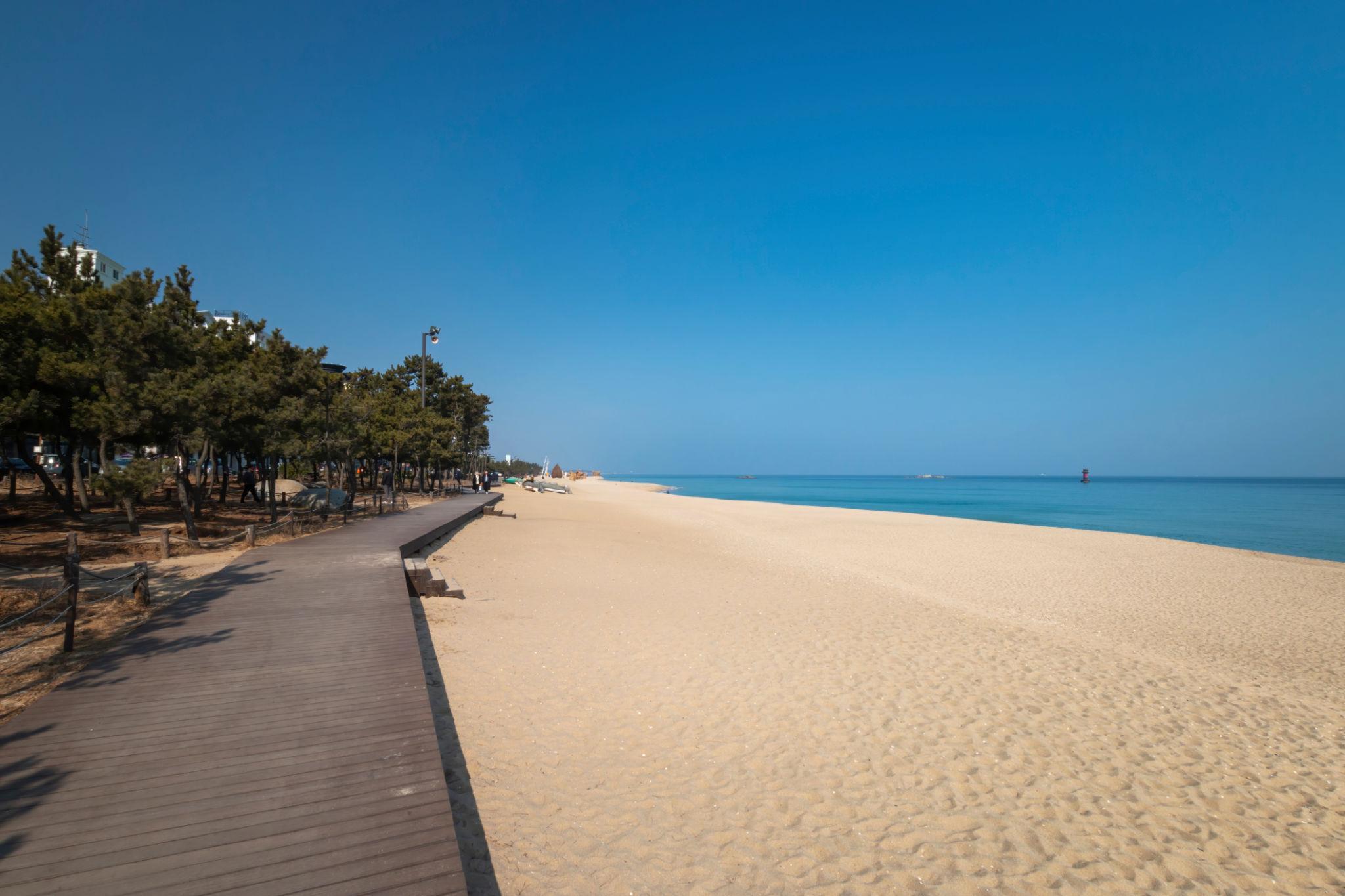 15:00 · Gyeongpo Beach Coastal Welcome Walk schedule