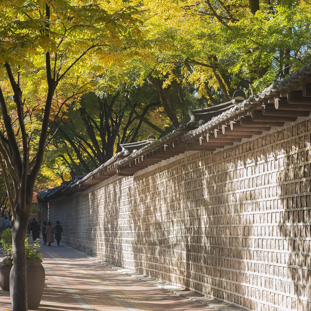 Seoul & Hongcheon Signature Health, Wellness & Culture Journey thumbnail 5