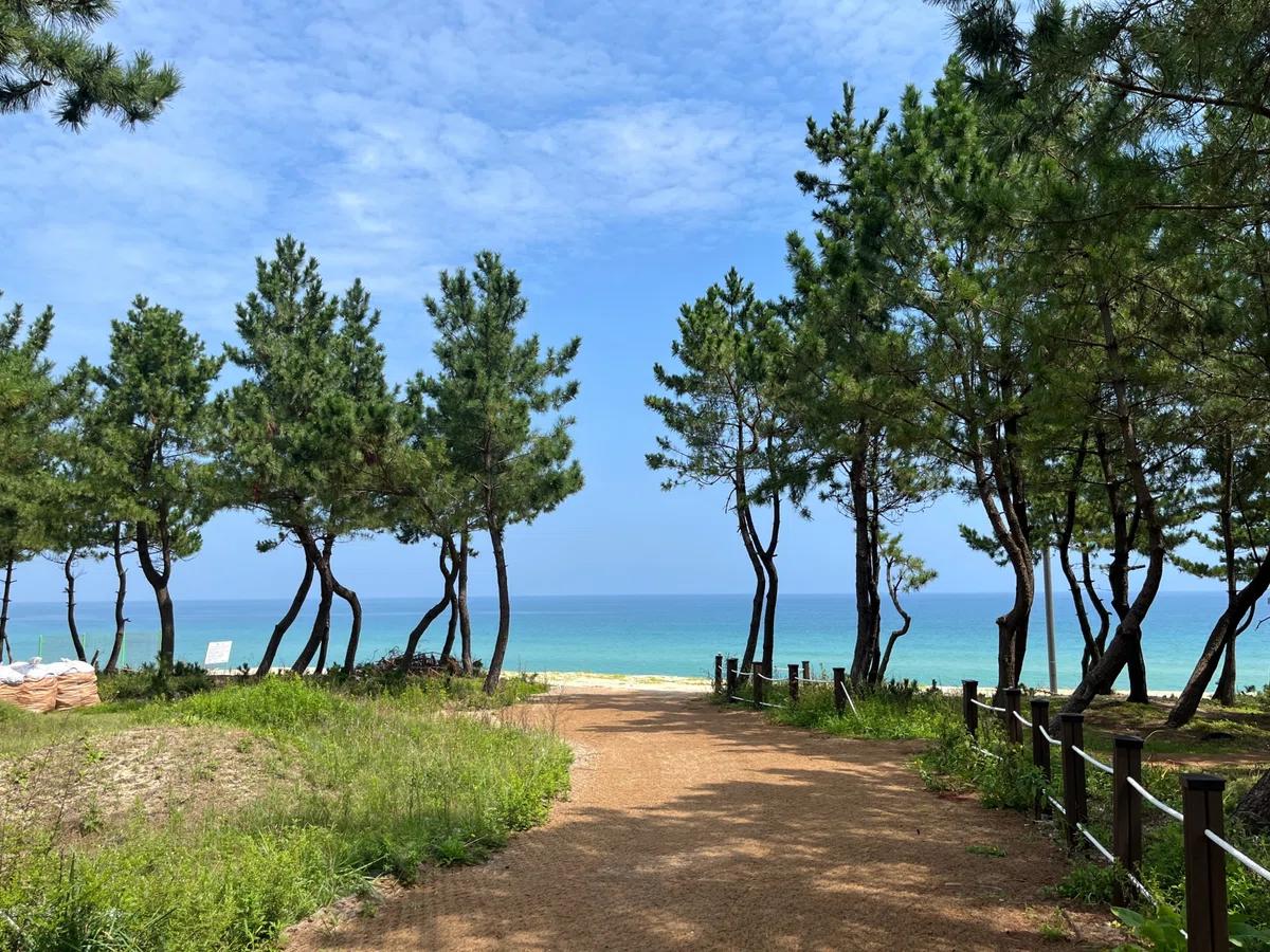 Gangneung Coastal Yoga & Wellness Escape thumbnail 4